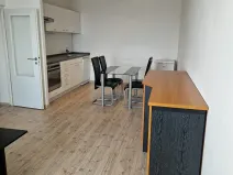 Pronájem bytu 1+kk, Brno, 47 m2