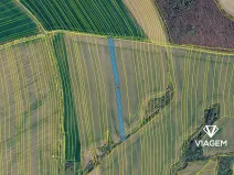 Prodej pole, Zborovice, 5623 m2