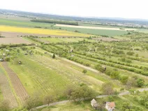 Prodej sadu/vinice, Strážnice, 3526 m2