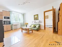 Pronájem bytu 2+kk, Třešť, Jungmannova, 45 m2