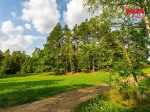 Prodej lesa, Petrovice - Žemličkova Lhota, 7042 m2
