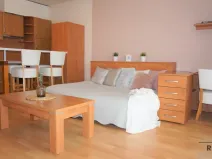 Pronájem bytu 1+kk, Olomouc, gen. Píky, 44 m2