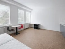 Pronájem bytu 1+kk, Praha - Smíchov, Křížová, 35 m2