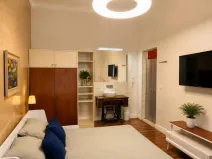 Pronájem bytu 1+1, Praha - Nové Město, Hálkova