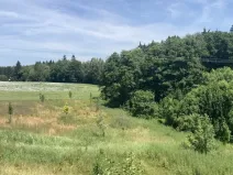 Prodej pole, Lomnice nad Popelkou - Želechy, 3130 m2