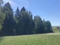 Prodej pole, Lomnice nad Popelkou - Želechy, 3130 m2