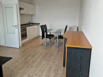 Pronájem bytu 2+kk, Brno, Oblá, 47 m2