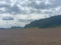 Prodej pole, Počepice, 49428 m2