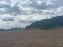 Prodej pole, Počepice, 49428 m2