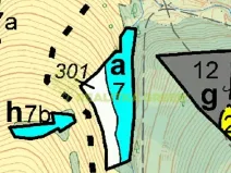 Prodej lesa, Leskovec, 5162 m2