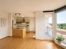 Pronájem bytu 3+kk, Pardubice - Bílé Předměstí, Dašická, 82 m2