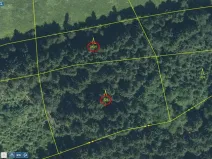 Prodej lesa, Mnichov - Vranov, 6298 m2