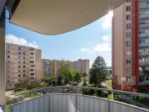 Prodej bytu 3+1, České Budějovice - České Budějovice 2, Netolická, 67 m2