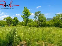 Prodej zahrady, Černouček, 5000 m2