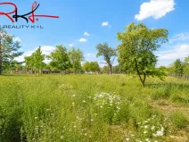 Prodej zahrady, Černouček, 5000 m2