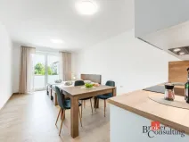 Pronájem bytu 1+kk, Olomouc - Nová Ulice, Třída Jiřího Pelikána, 33 m2