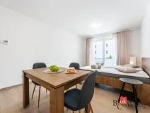 Pronájem bytu 1+kk, Olomouc - Nová Ulice, Třída Jiřího Pelikána, 33 m2