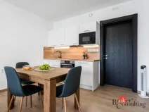 Pronájem bytu 1+kk, Olomouc - Nová Ulice, Třída Jiřího Pelikána, 33 m2