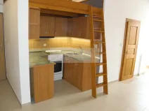 Pronájem bytu 2+kk, Plzeň - Jižní Předměstí, Borská, 50 m2
