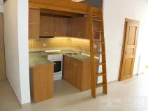 Pronájem bytu 2+kk, Plzeň - Jižní Předměstí, Borská, 50 m2
