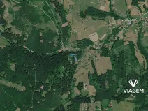 Prodej lesa, Mikulůvka, 3828 m2