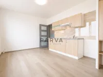 Prodej bytu 1+kk, Plzeň - Jižní Předměstí, U Borského parku, 21 m2