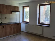 Pronájem bytu 1+kk, Olomouc, Teichmannova, 35 m2