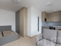 Pronájem bytu 1+kk, Praha - Řeporyje, Haenkeho, 31 m2