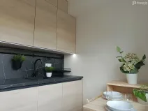Pronájem bytu 1+kk, Brno, Zvěřinova, 13 m2