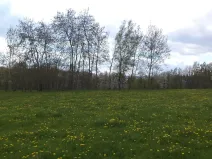 Dražba louky, Staré Město, 10063 m2