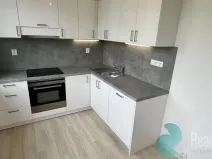 Pronájem bytu 1+1, Český Krumlov, Sídliště Plešivec, 40 m2