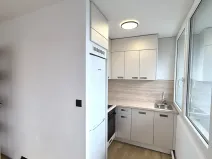Prodej bytu 1+kk, Praha - Karlín, Nekvasilova, 29 m2
