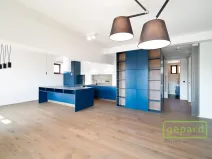 Pronájem bytu 3+kk, Praha - Vinohrady, Perucká, 120 m2