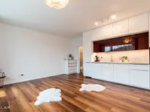Pronájem bytu 1+kk, Hranice - Hranice I-Město, Pod Nemocnicí, 43 m2