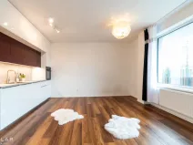 Pronájem bytu 1+kk, Hranice - Hranice I-Město, Pod Nemocnicí, 43 m2