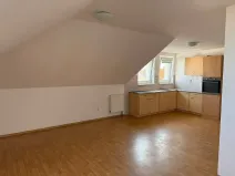 Pronájem bytu 1+kk, České Budějovice, Skuherského, 42 m2