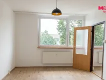 Pronájem bytu 1+1, Nový Jičín, Dlouhá, 35 m2