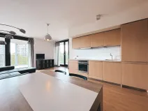 Pronájem bytu 2+kk, Praha - Žižkov, Pitterova, 55 m2