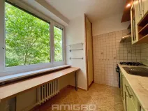 Prodej bytu 2+1, Brno, Podlesí, 53 m2
