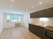 Prodej bytu 2+kk, Praha - Krč, Hurbanova, 39 m2