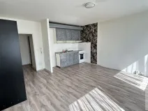 Pronájem bytu 2+kk, Ústí nad Labem - Krásné Březno, Keplerova, 48 m2