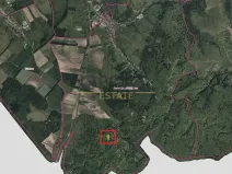 Prodej podílu louky, Javorník, 2636 m2