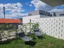 Pronájem bytu 1+kk, Ostrava - Slezská Ostrava, U Hájenky, 38 m2