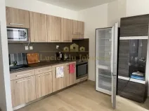 Prodej bytu 2+kk, Ústí nad Labem - Krásné Březno, Rozcestí, 48 m2