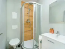 Pronájem bytu 1+kk, Planá, Karlín, 30 m2