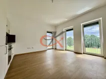 Pronájem bytu 1+kk, Rožnov pod Radhoštěm, Písečná, 33 m2