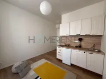 Pronájem bytu 1+kk, Praha - Vysočany, Kolmá, 19 m2