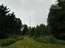Prodej chalupy, Staré Hamry, 120 m2