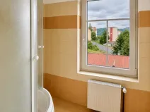 Pronájem bytu 1+1, Děčín - Děčín VI-Letná, Rokycanova, 39 m2