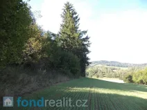 Prodej pole, Kolinec, 2385 m2